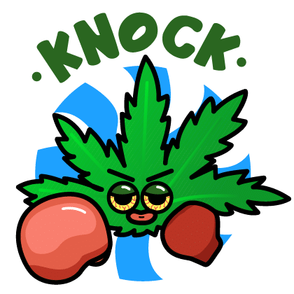 Knock Samui Cannabis